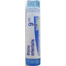 BLATTA ORIENTALIS 9 CH / БЛАТА ОРИЕНТАЛИС 9 СН
