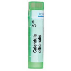 CALENDULA OFFICINALIS 5 CH / КАЛЕНДУЛА ОФИЦИНАЛИС 5 СН