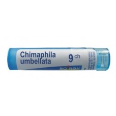 CHIMAPHILA UMBELLATA 9 CH / ХИМАФИЛА УМБЕЛАТА 9 СН