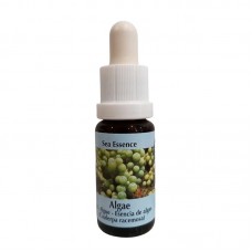 Есенция Водорасли, капки 15 ml / Essence Alga Sea Essence №1