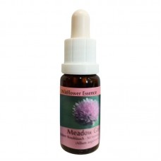 Есенция Ръбестостъблен лук, капки 15 ml / Essence German garlic Wildflower Essence № 39