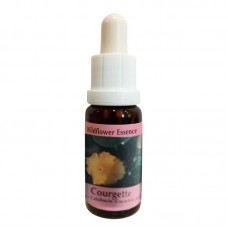 Есенция Тиква, капки 15 ml / Essence Courgette Wildflower Essence № 29