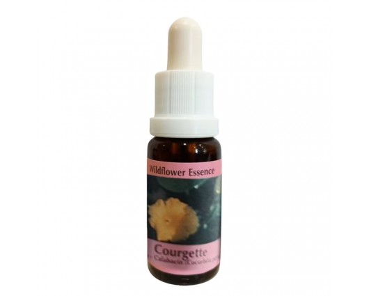 Есенция Тиква, капки 15 ml / Essence Courgette Wildflower Essence № 29