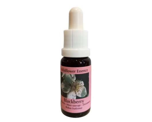 Есенция Къпина, капки 15 ml / Essence Blackberry Wildflower Essence № 22