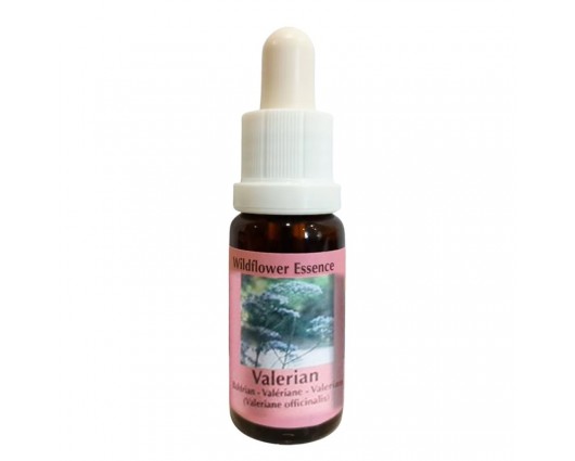 Есенция Валериана, капки 15 ml / Essence Valerian Wildflower Essence № 21