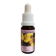 Есенция Прещип , капки 15 ml / Essence Gorse Classic Flower Essence № 13